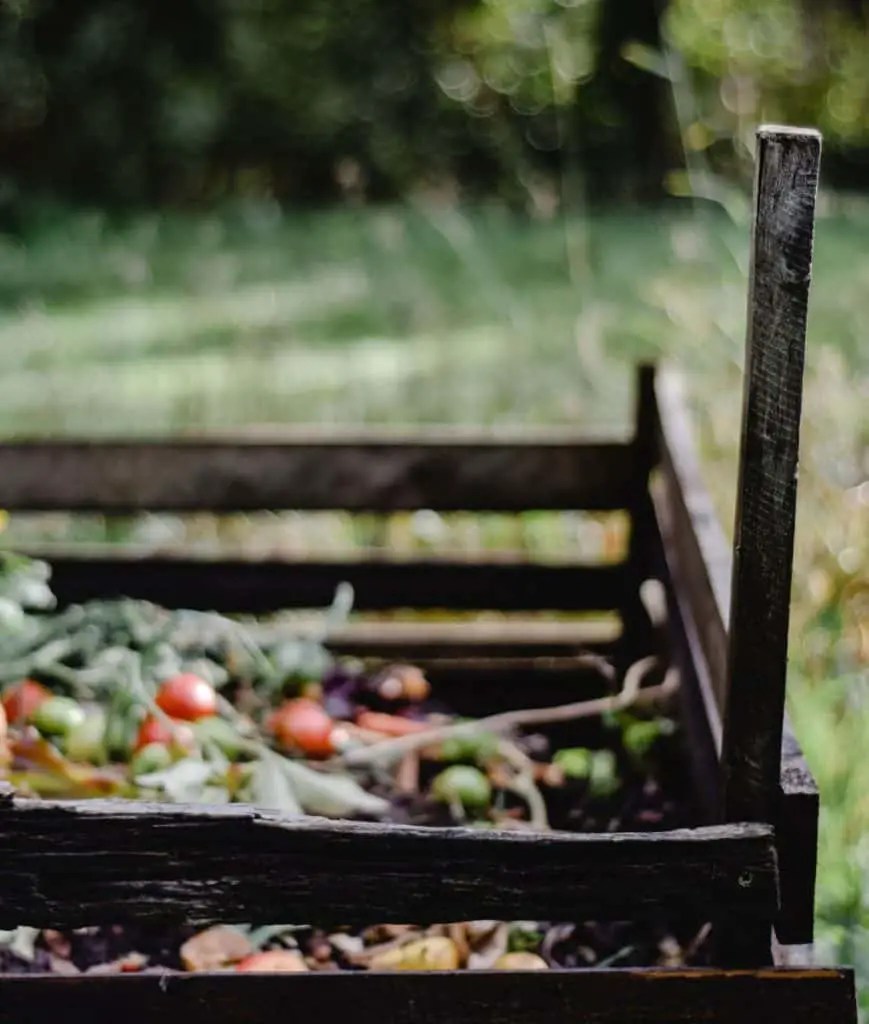 Rabbit Litter Box Everything You Need To Know From The Rabbit Pros