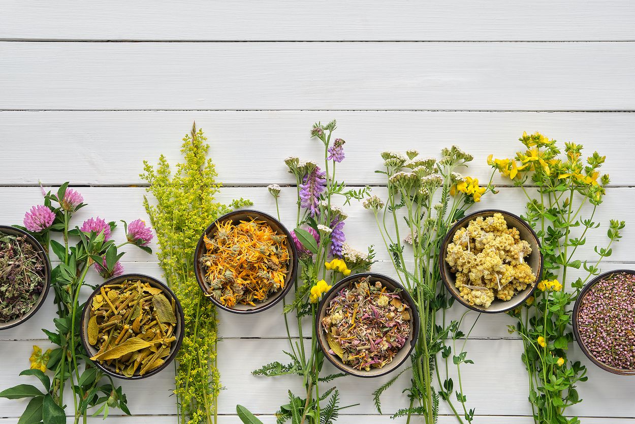 +10 Remedios caseros con plantas medicinales para aliviar malestares y