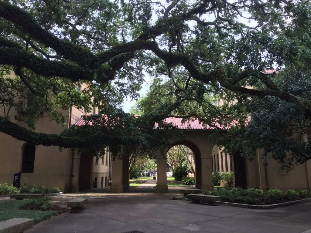 LSU Campus; Baton Rouge, Louisiana Study Breaks