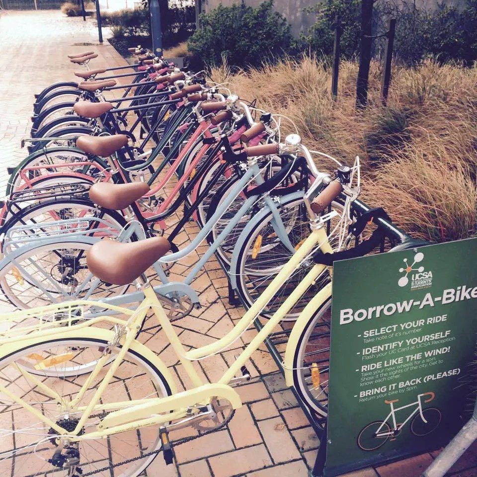 18 College Slang Expressions You’ll Hear on American College Campuses