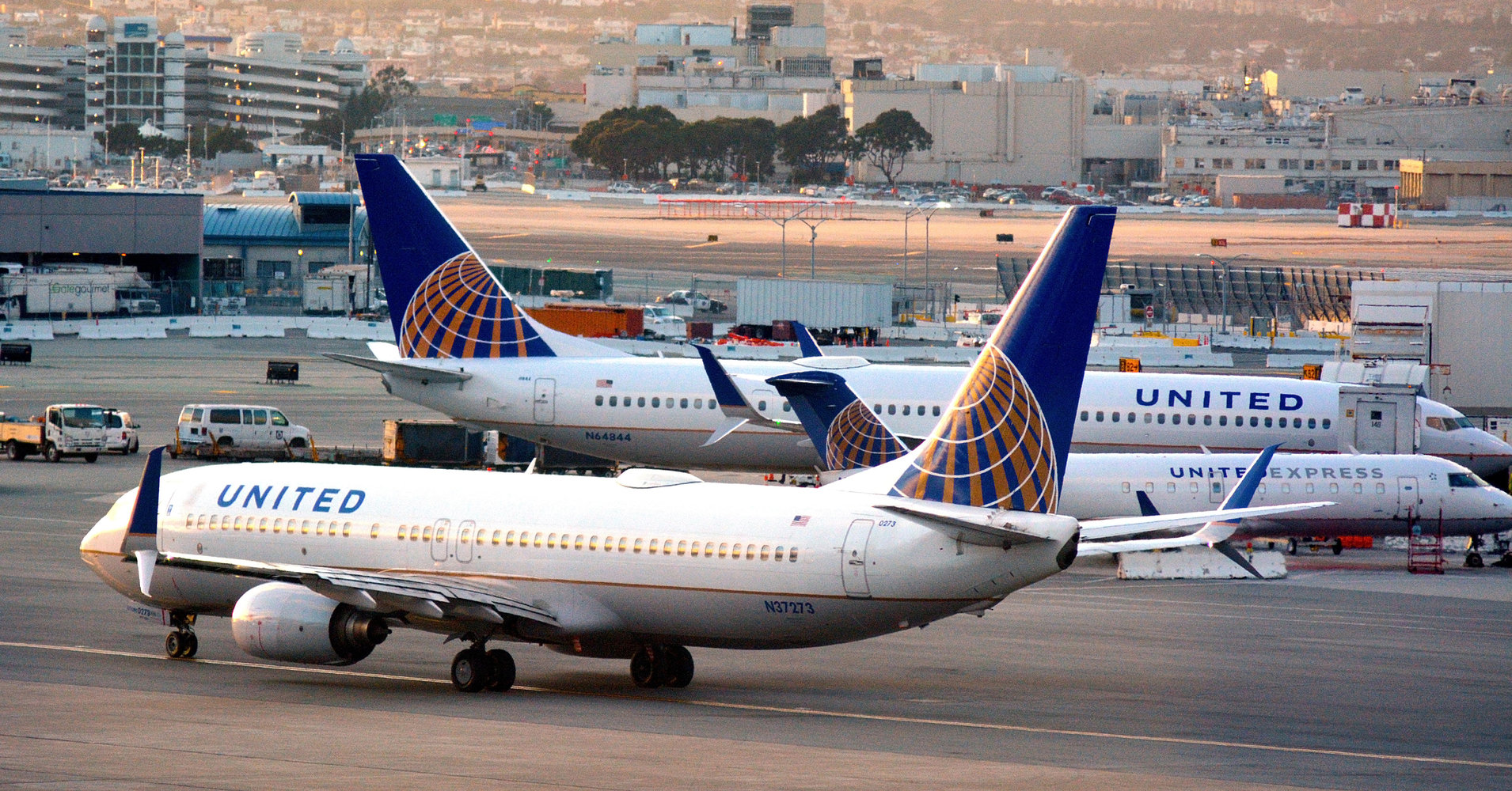 United Airlines Animal Deaths Are the Most Frequent of All U.S. Airlines