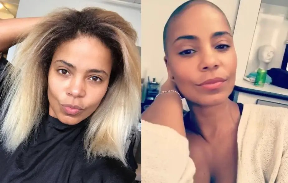 'Nappily Ever After' Deftly Highlights a Black Woman’s Hair Experience