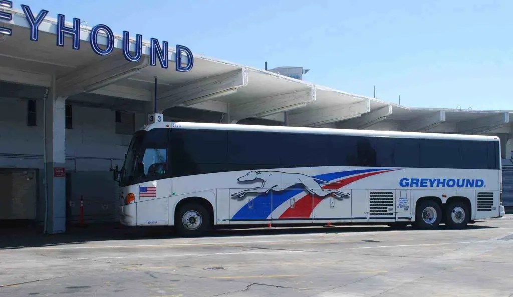 What I Learned Riding the Greyhound Bus Across Canada