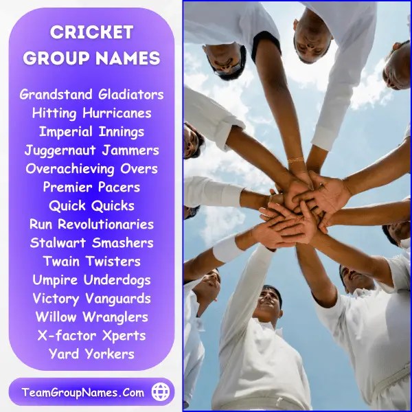 522+ Cricket Team Names That Stand Out from Other Teams