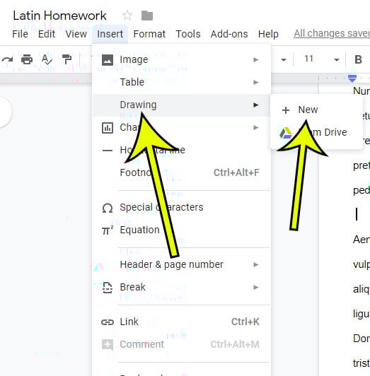 How to put text in a box in google docs naadm