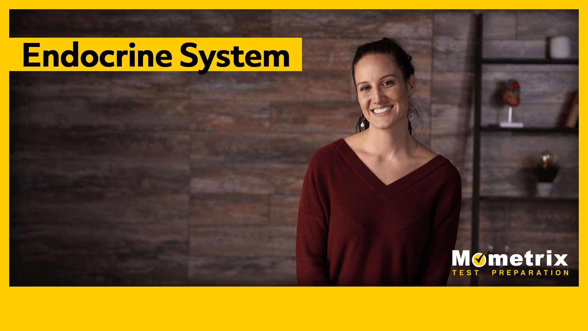 Endocrine System (Video)