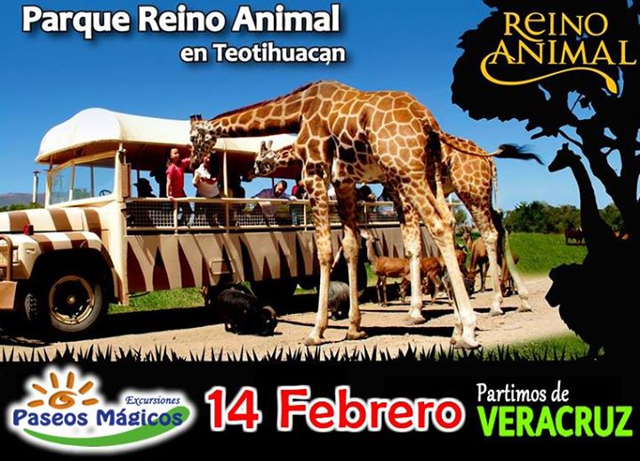 Excursión a Teotihuacán y Parque Temático Reino Animal Domingo 14 de