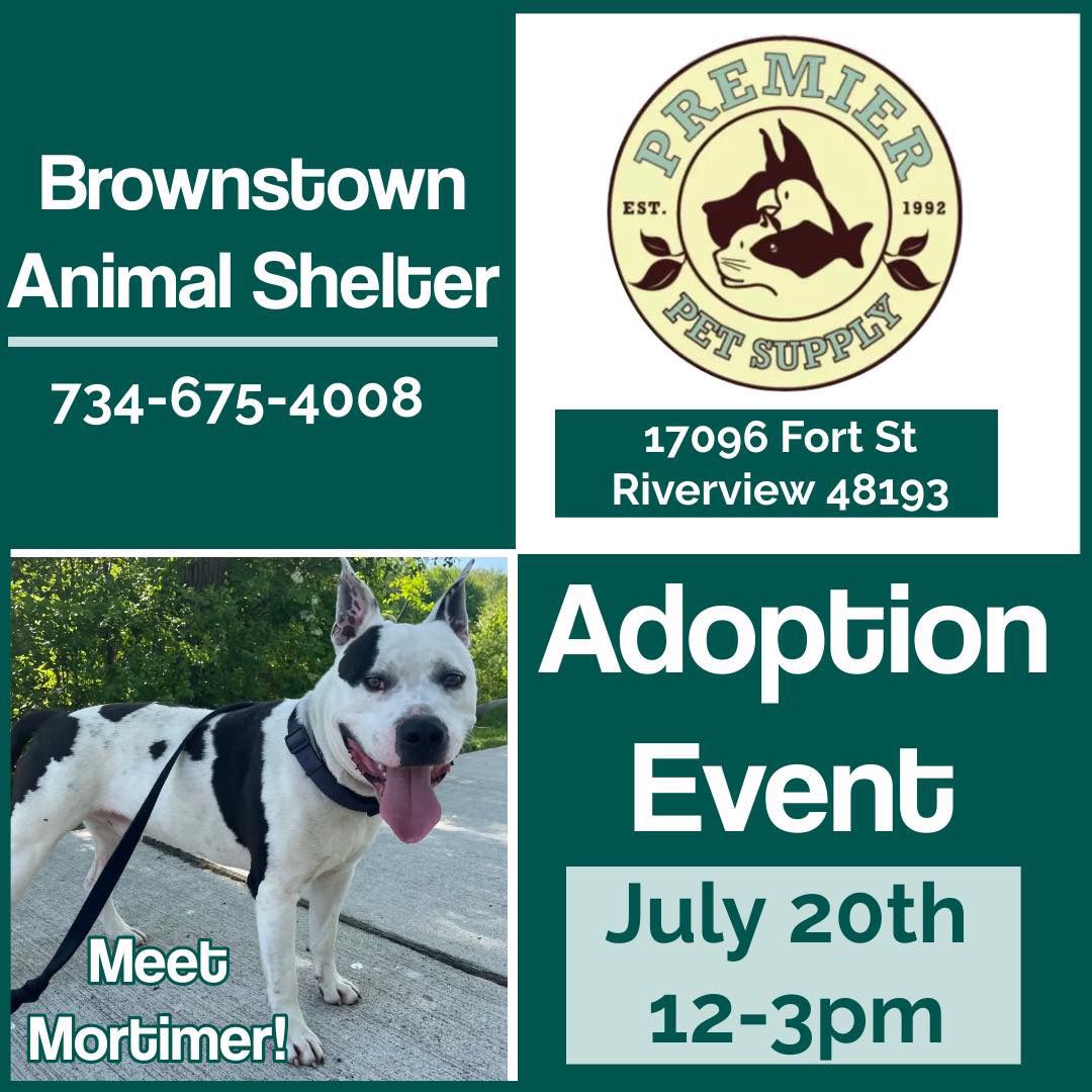 Brownstown Animal Shelter Adoption Event!, 17096 Fort Street, Riverview(05)