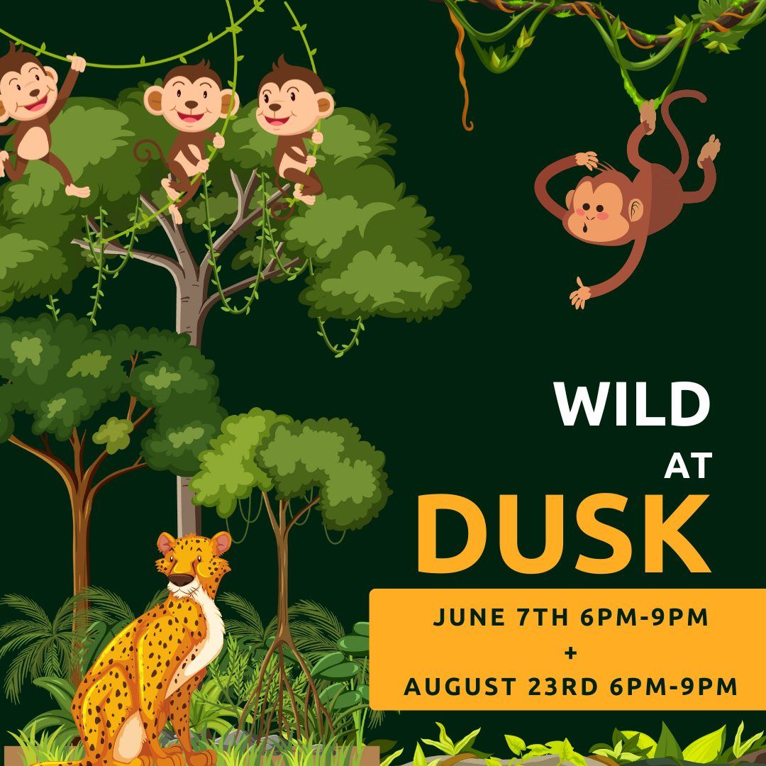 Wild at Dusk , 7621 Lakeport Rd, Chittenango, NY, United States, New