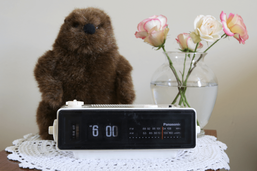 Make A ‘Groundhog Day’ Alarm Clock « Adafruit Industries Makers