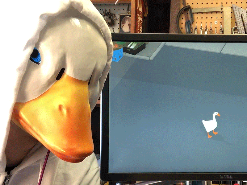 NEW GUIDE John Park’s Goose Game Controller Mask