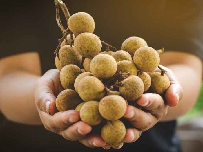 Tak hanya buah yang masam, 5 buah manis ini juga kaya akan