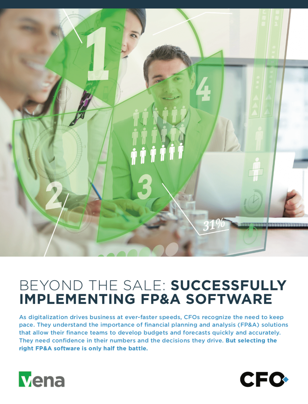 Beyond the Sale Successfully Implementing FP&A Software CFO