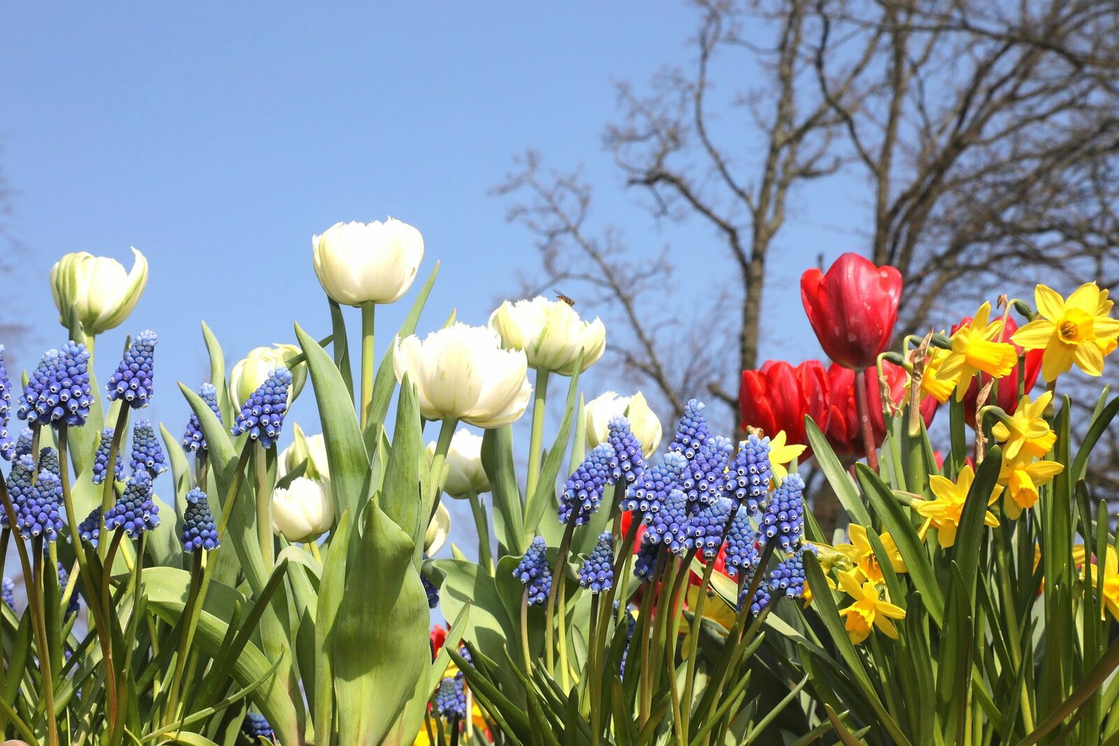May holidays 2021, Biddinghuizen, Veluwemeer, The Netherlands