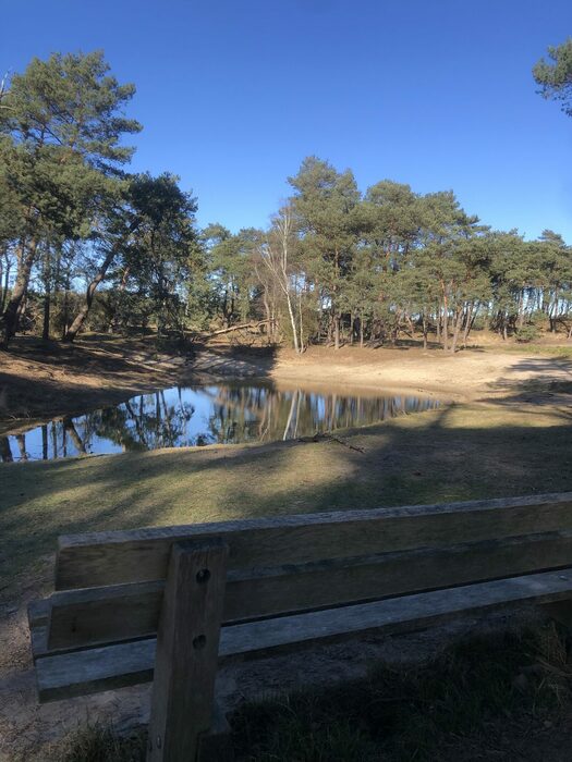 FerienResort Barneveld Park Berkenrhode