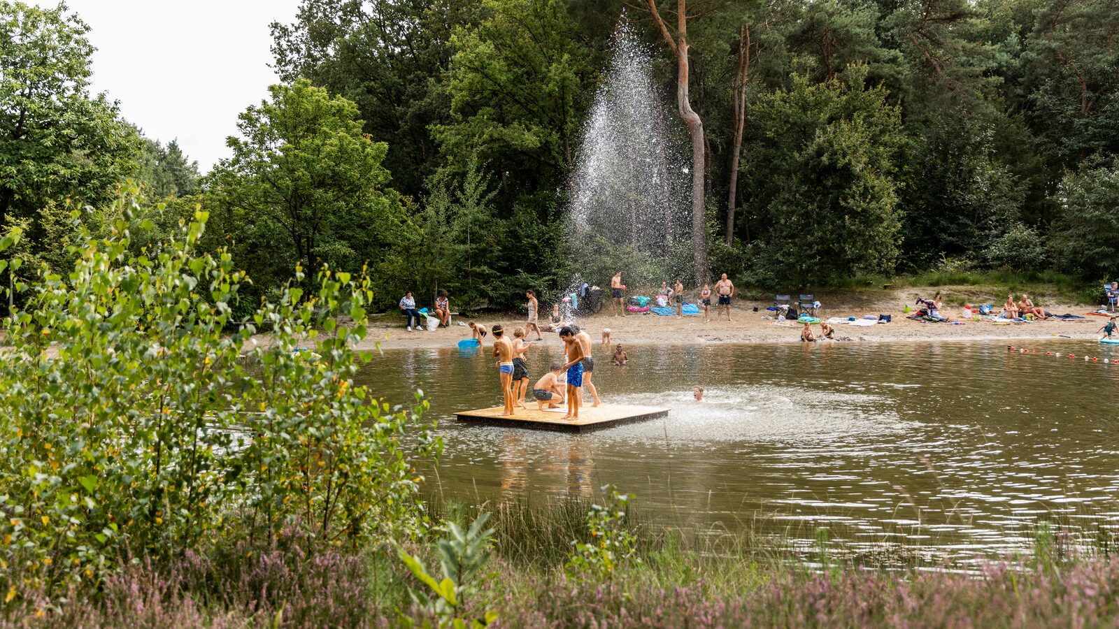 Corsendonk Baalse Hei | Camping In The Belgian Kempen