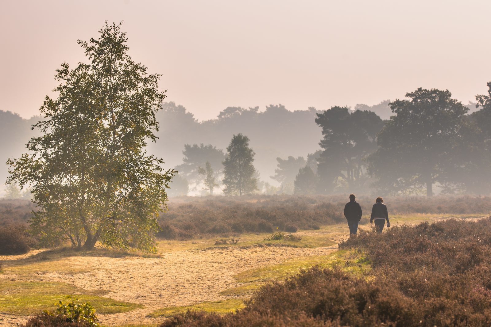 Discover De Hoge Veluwe National Park at TopParken