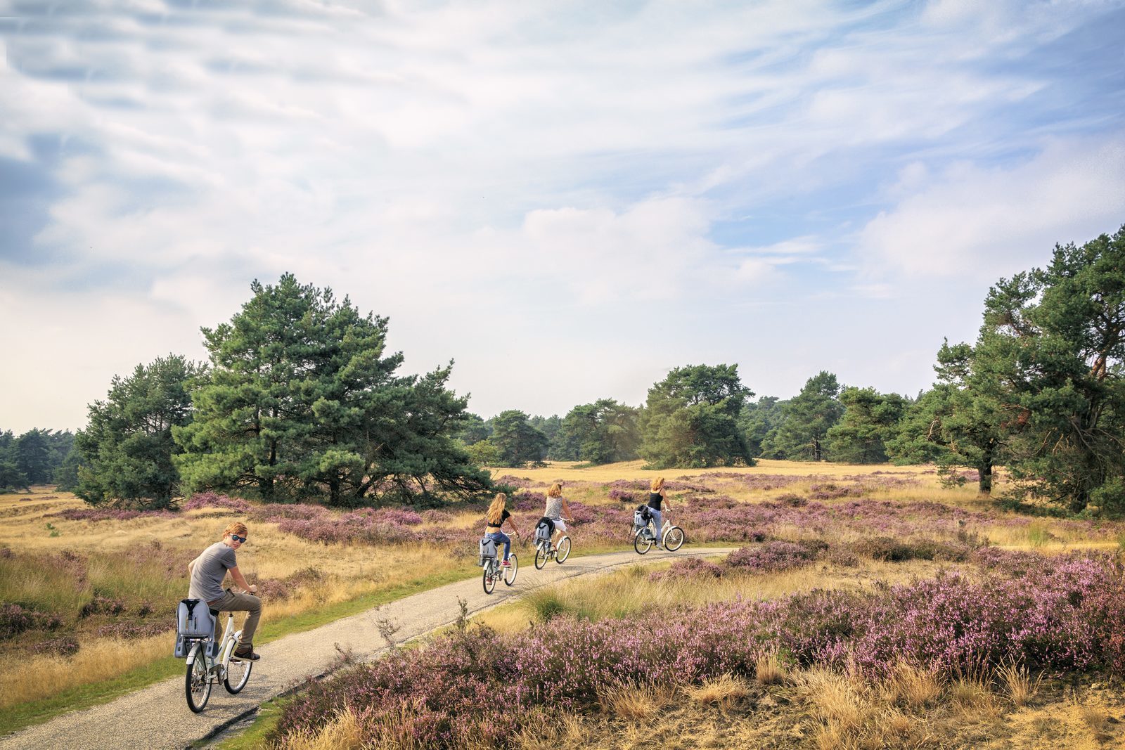 Vakantieparken op de Veluwe 🌳 TopParken