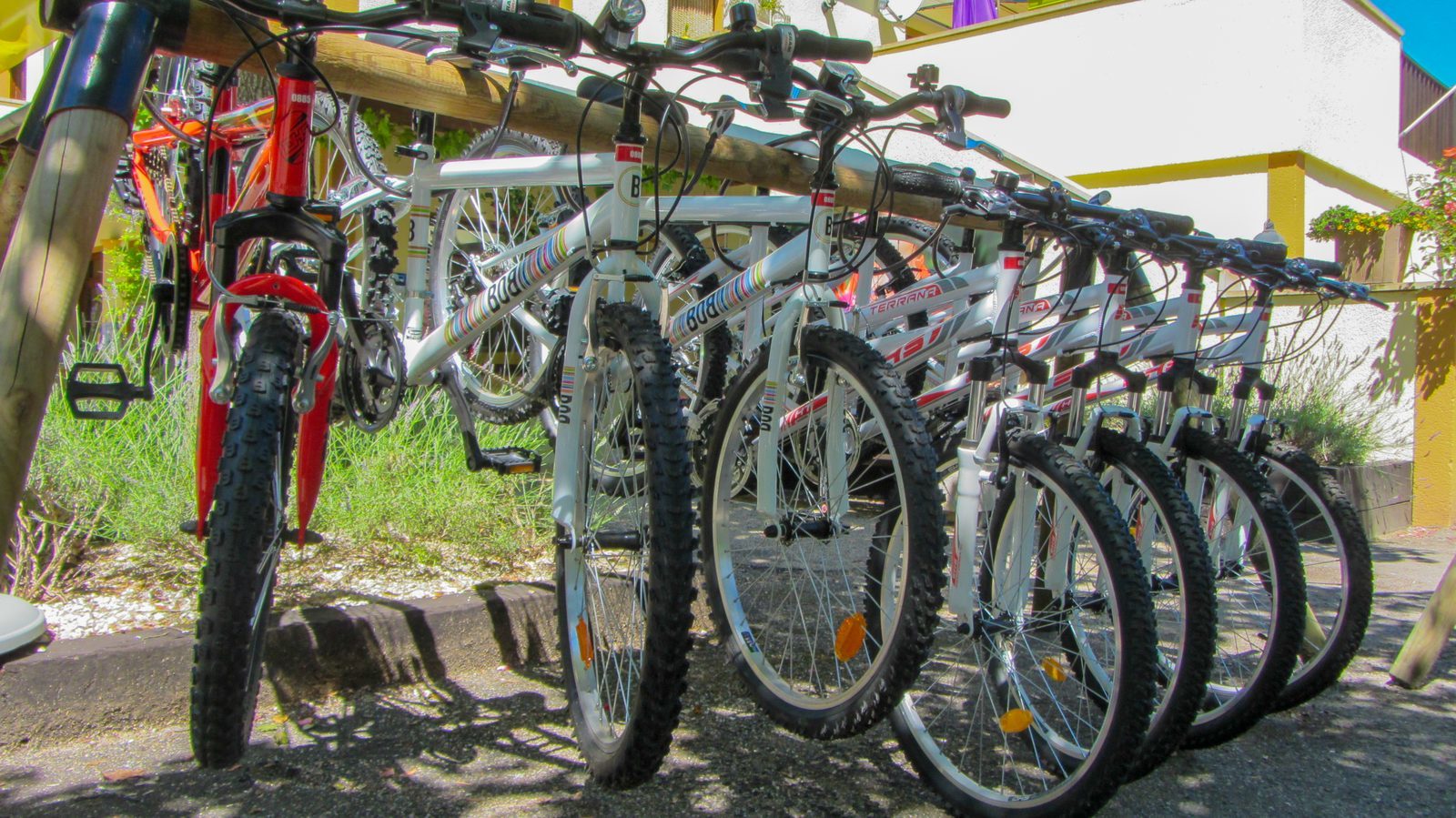 Mountain bike rental