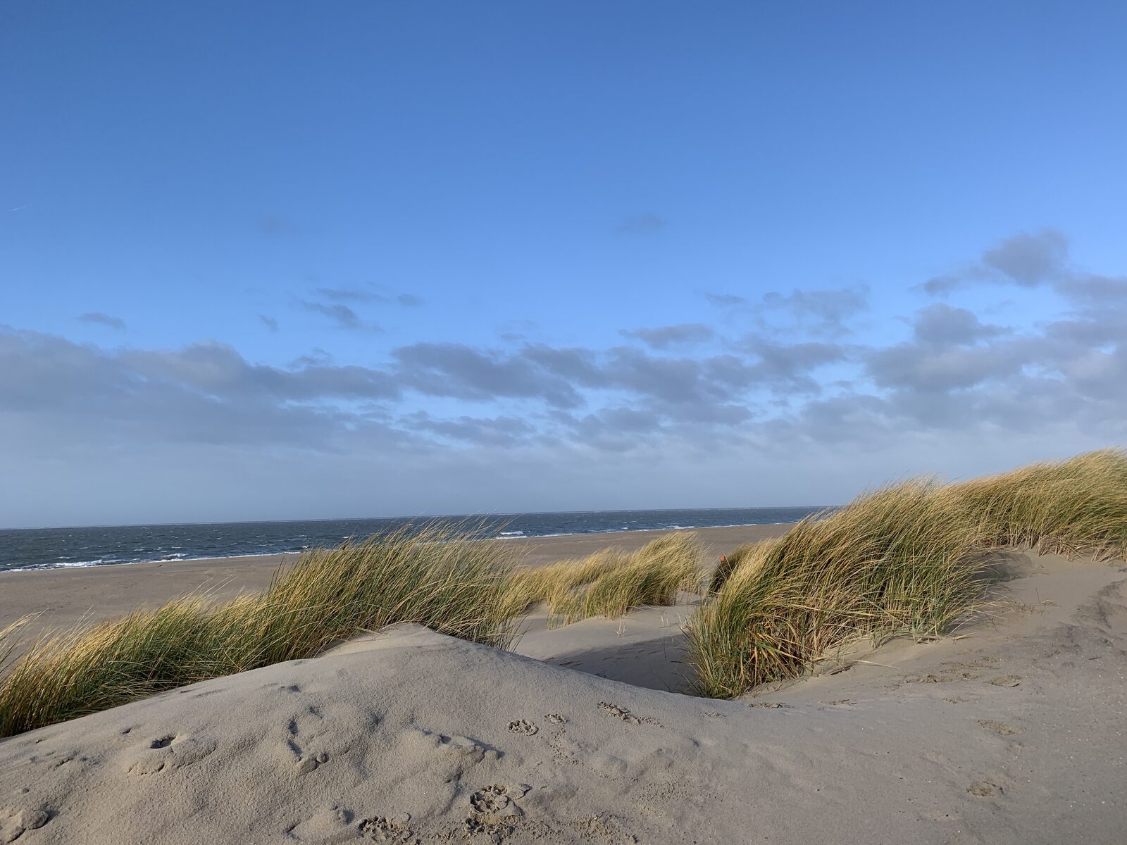 Urlaub in Südholland vielseitig & erholsam Ferienwohnungen Ouddorp