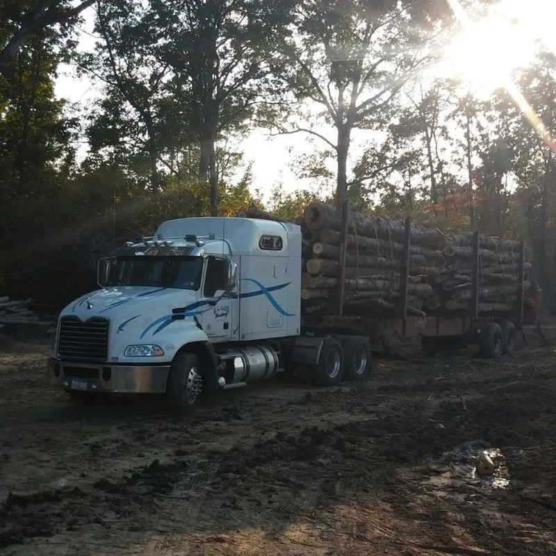 D.L. Martin Trucking LLC to D.L. Martin Trucking L.L.C.