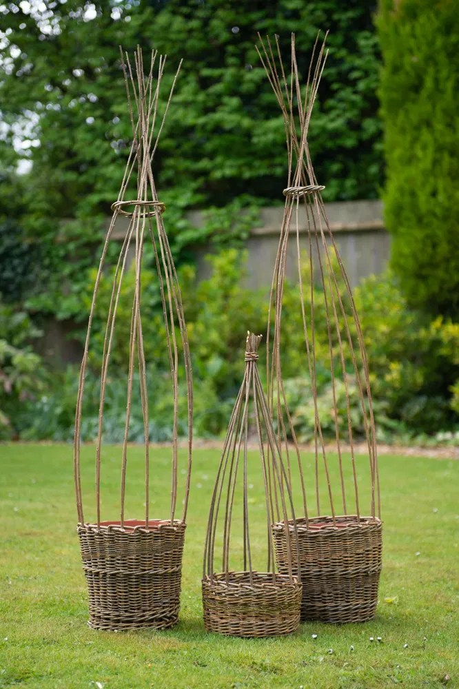 Sweet Pea Planters Louise Brown Basketmaker
