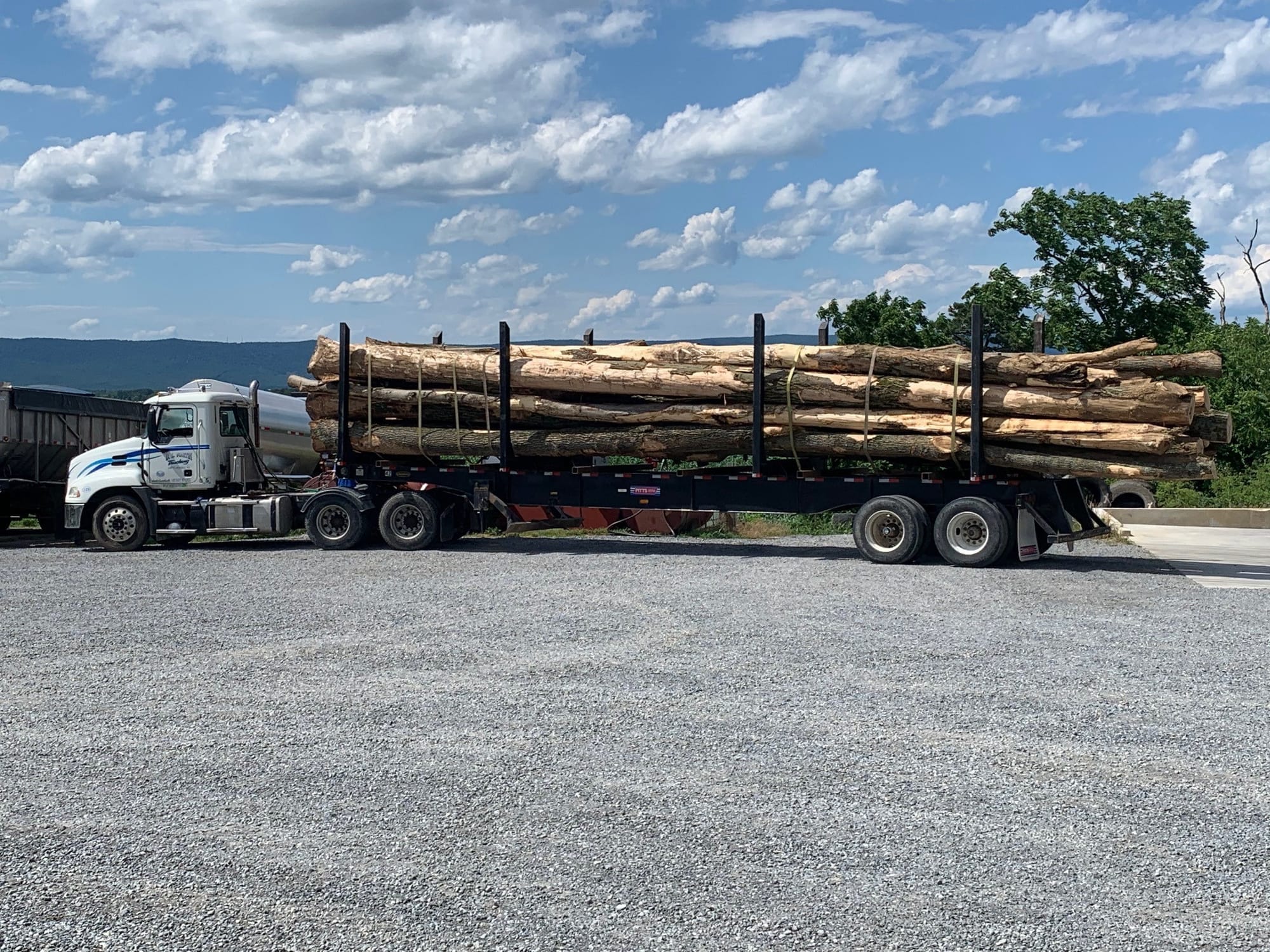 D.L. Martin Trucking LLC to D.L. Martin Trucking L.L.C.