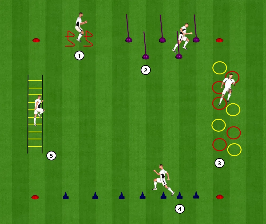 Circuit Training Examples For Football at Betty Oglesby blog