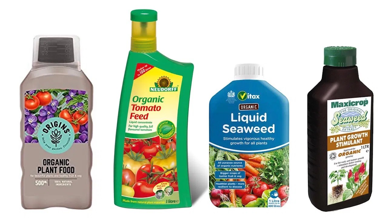 What Fertilisers Are Best For Houseplants?