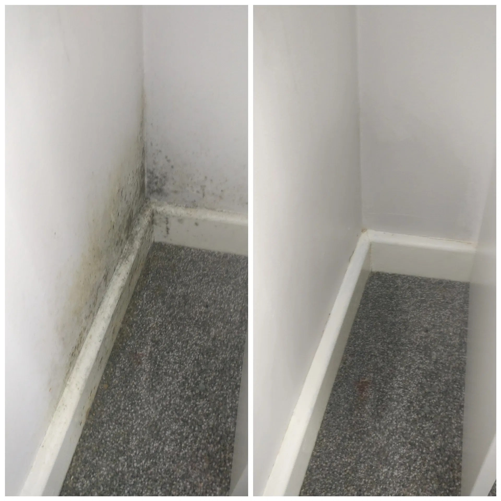 Commercial Cleaning Newcastle Upon Tyne Carpet Cleaning Newcastle Up