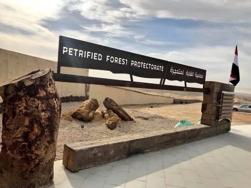 About Petrified Forest Egypt