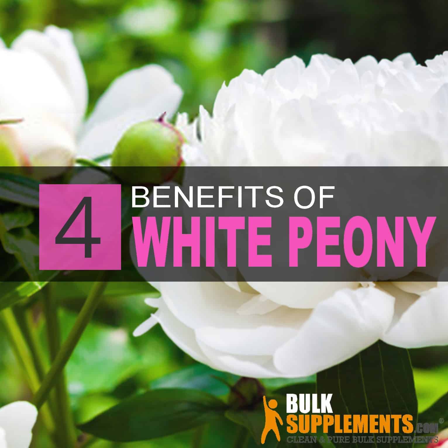 How White Peony Root Extract Can Help Your Body