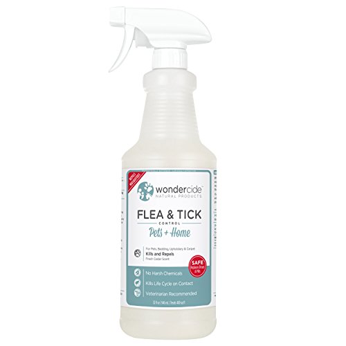 NATURAL FLEA & TICK CONTROL FOR PETS + HOME KILLS IN SECONDS & REPELS