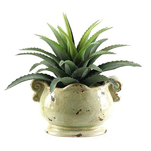 D AND W SILKS STAR SUCCULENT SILK PLANT WITH CERAMIC PLANTER GTIN/EAN