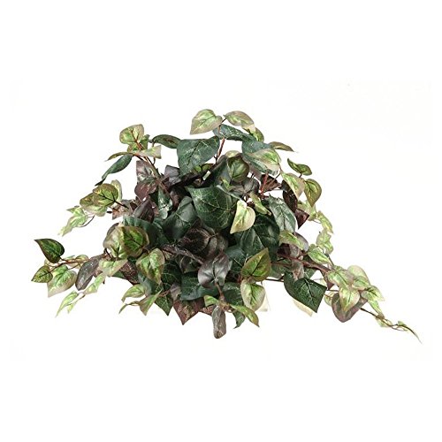 D AND W SILKS OXALIS IVY SILK PLANT GTIN/EAN/UPC 437390460 Cadastro