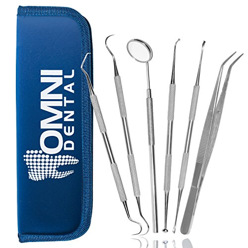 OMNI DENTAL 6 PIECE DENTIST TOOL KIT, FEATURES A GRADE GERMAN STAINLESS