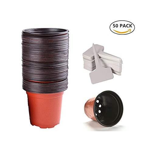 6 INCH REUSABLE PLASTIC NURSERY POTS FLOWER SEEDLINGS CONTAINERS WITH