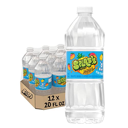 SPLASH BLAST, WILD BERRY FLAVOR WATER BEVERAGE, 20 FL OZ PLASTIC