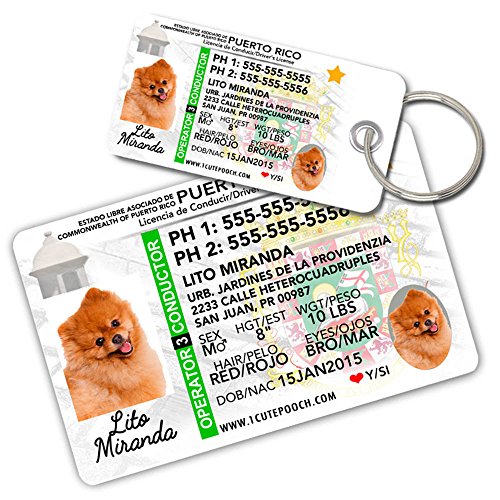 PUERTO RICO DRIVER LICENSE CUSTOM DOG TAGS FOR PETS AND WALLET CARD