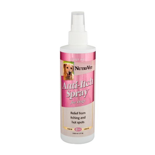 NUTRIVET ANTIITCH SPRAY FOR DOGS, 8 OUNCE BY NUTRIVET WELLNESS
