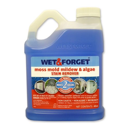 WET AND 43 OZ MOSS, MOLD, MILDEW AND ALGAE STAIN REMOVER GTIN