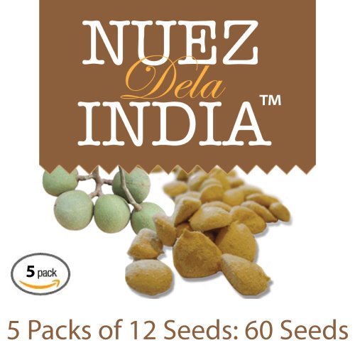 NUEZ DE LA INDIA 100 ORIGINAL AUTHENTIC INDIAN NUT WEIGHT LOSS 5 PACK (60 NUTS TOTAL) GTIN