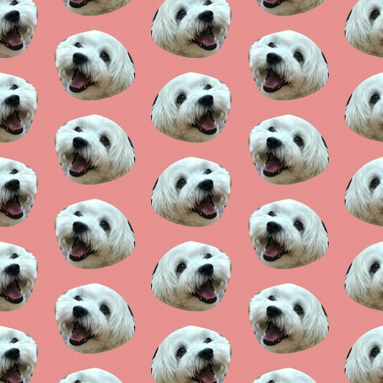 Wallpaper Gambar Estetik Lucu WallpaperShit