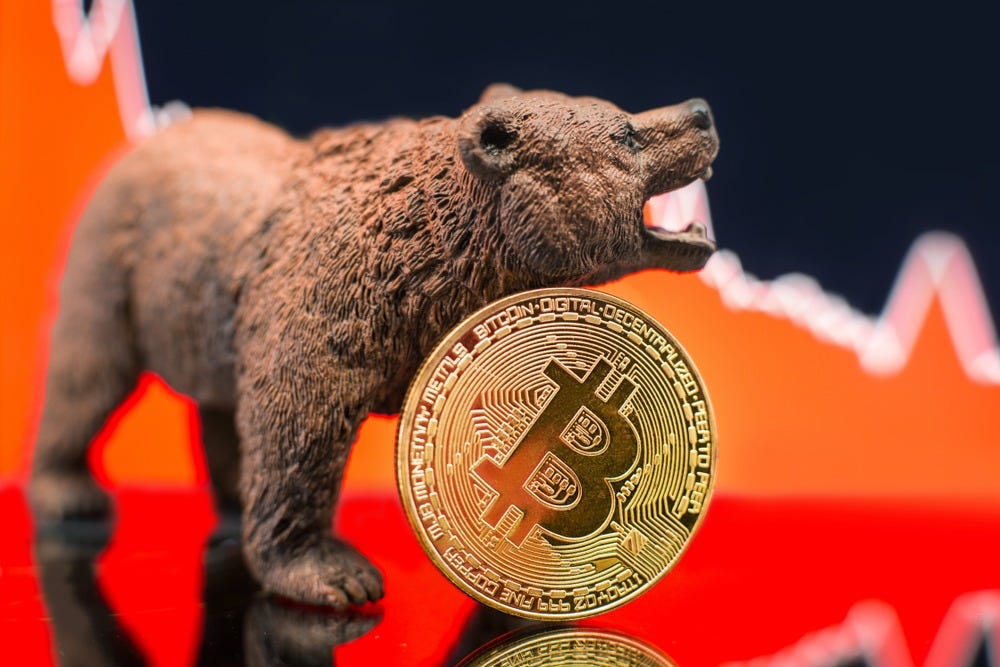 What Happens In A Bear Market Crypto / Should You Buy The Bitcoin Dip