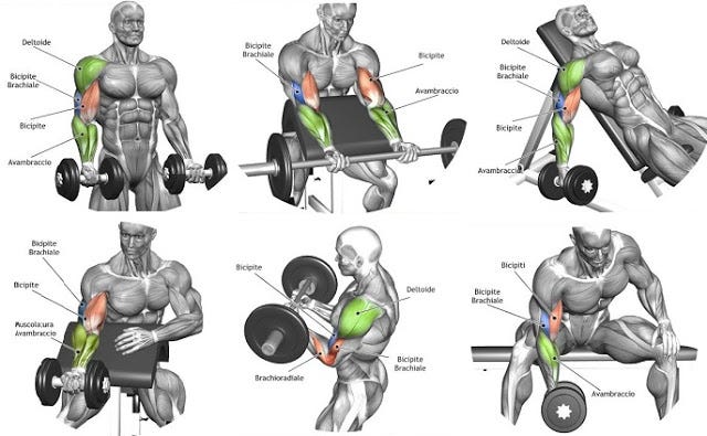 Best Forearm Exercises For Mass Bodybuilding AIMEE Medium Best Forearm Exercises For Mass Bodybuilding AIMEE Medium
