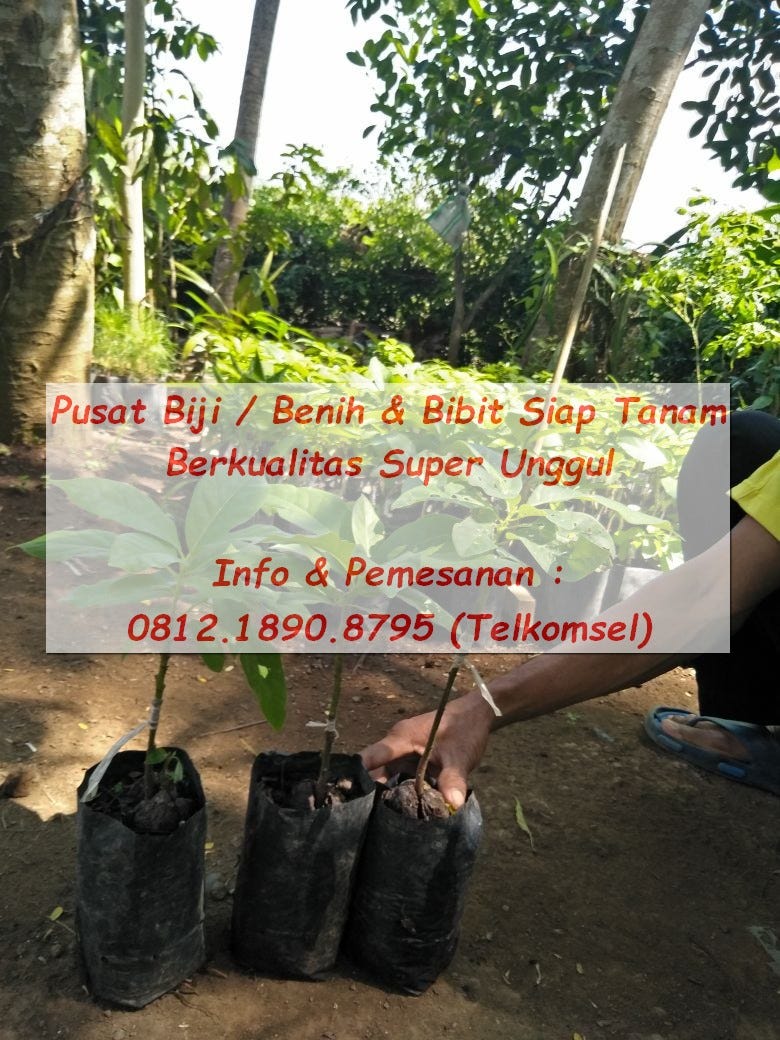 Jual Madu kelengkeng 081357873509 Tsel Madu Kelengkeng Ambarawa