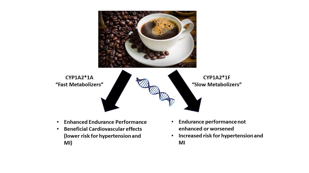 The Caffeine “Buzz” Might Lie in Your DNA Lets Talk Physiology