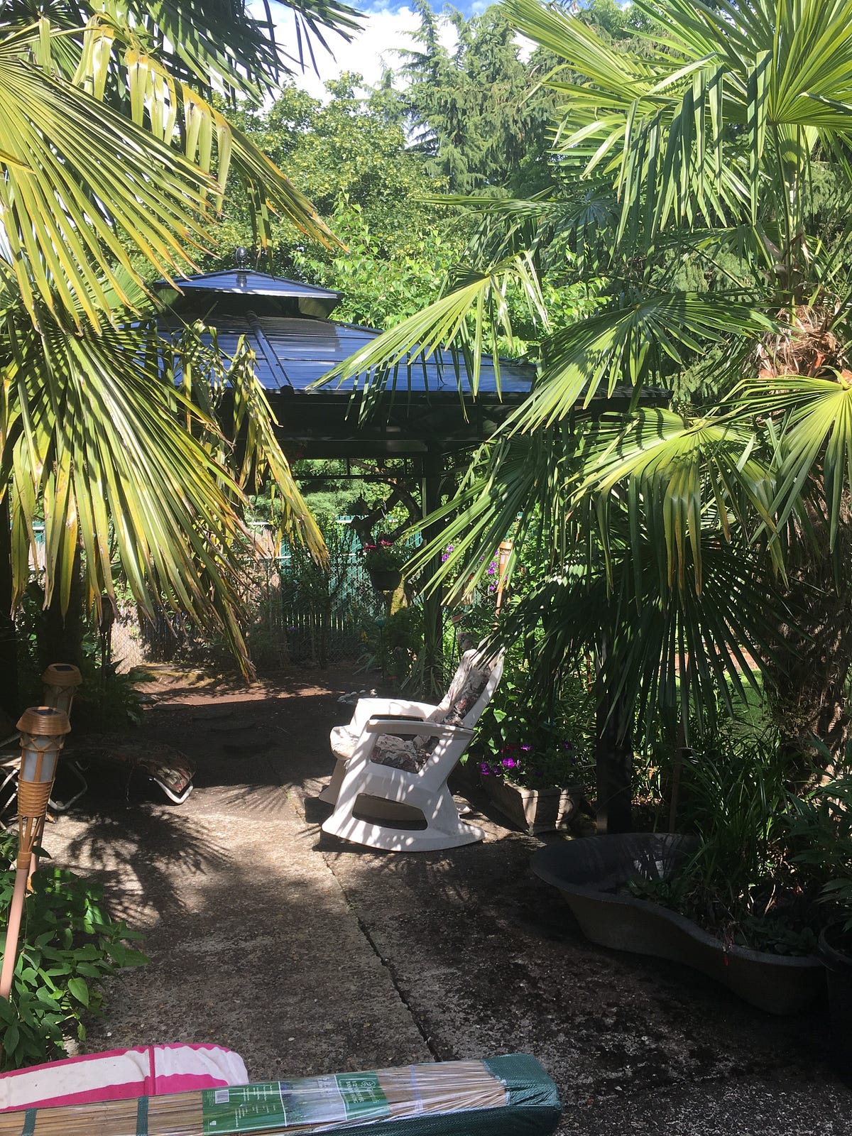 Tropical Gardens with Bananas and Palm Trees in Portland, Oregon