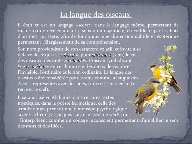 La langue des oiseaux ou la cabale euphonique Dora Moutot Medium