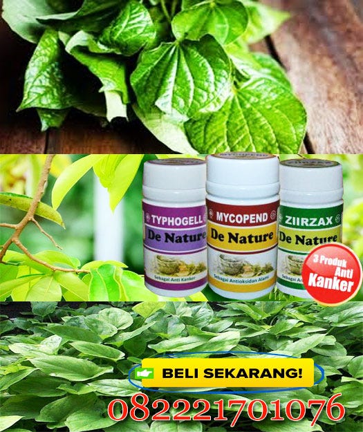 Buah Cara Menghentikan Haid Yang Berkepanjangan / Obat Herbal Solusi